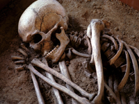 Skelett som ligger begravt i jord